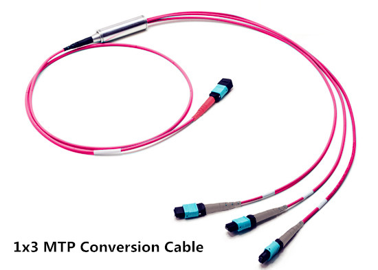 1x3 MTP conversion cable