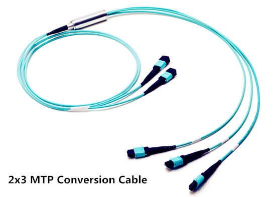 2x3 MTP conversion cable