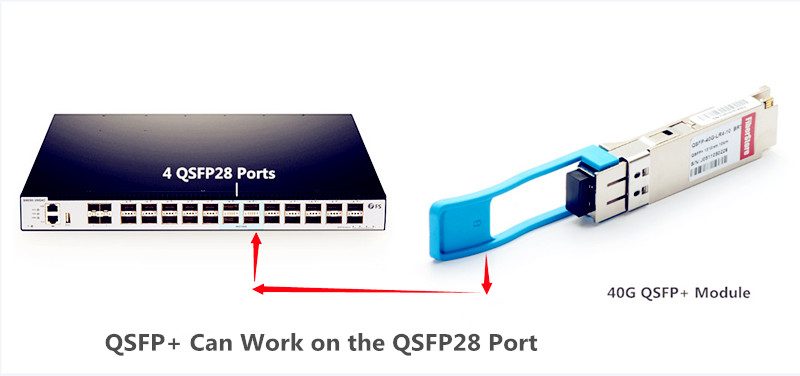 QSFP+ can work on the QSFP28 ports